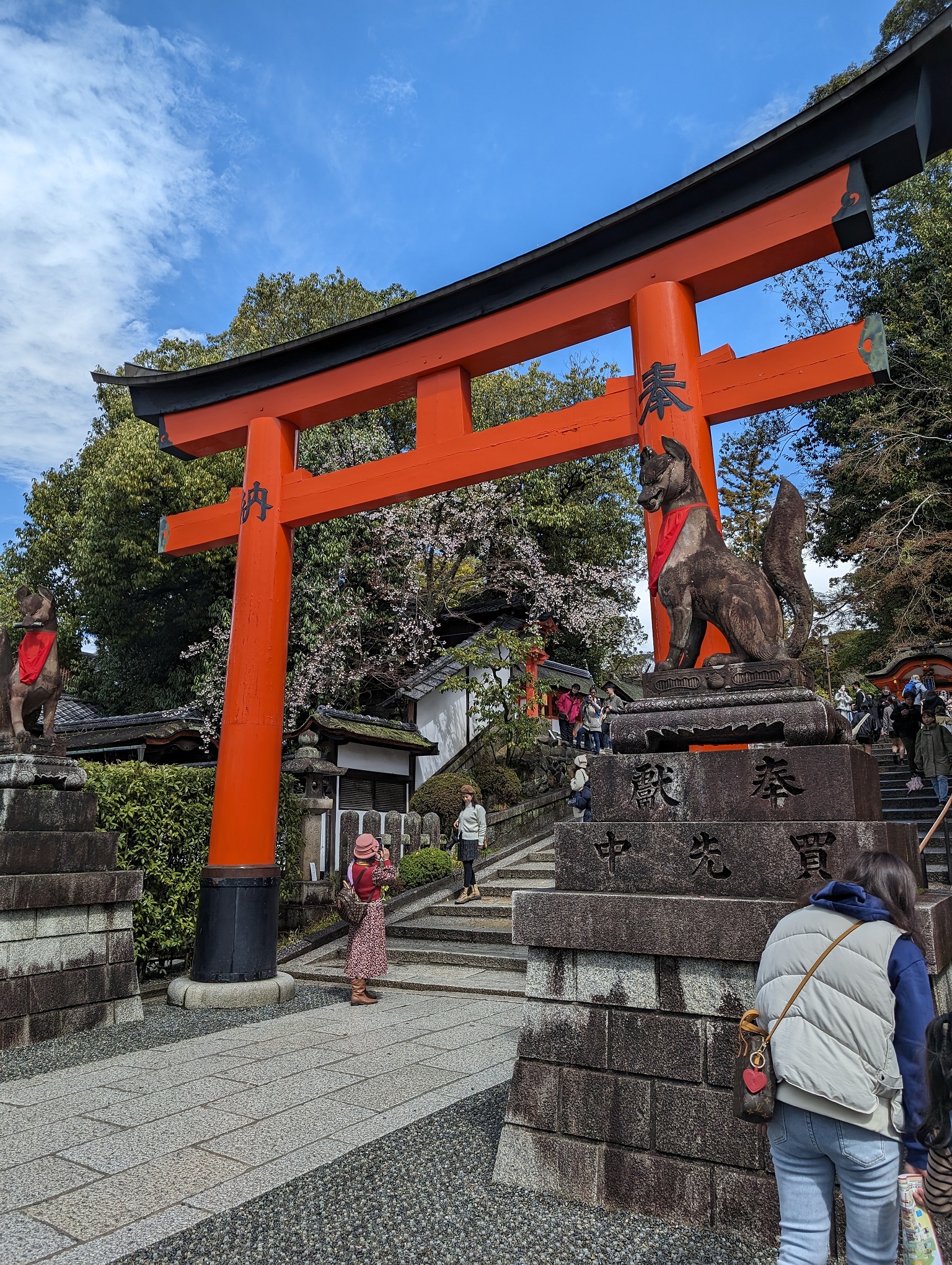 Torii at Fushimi Inari