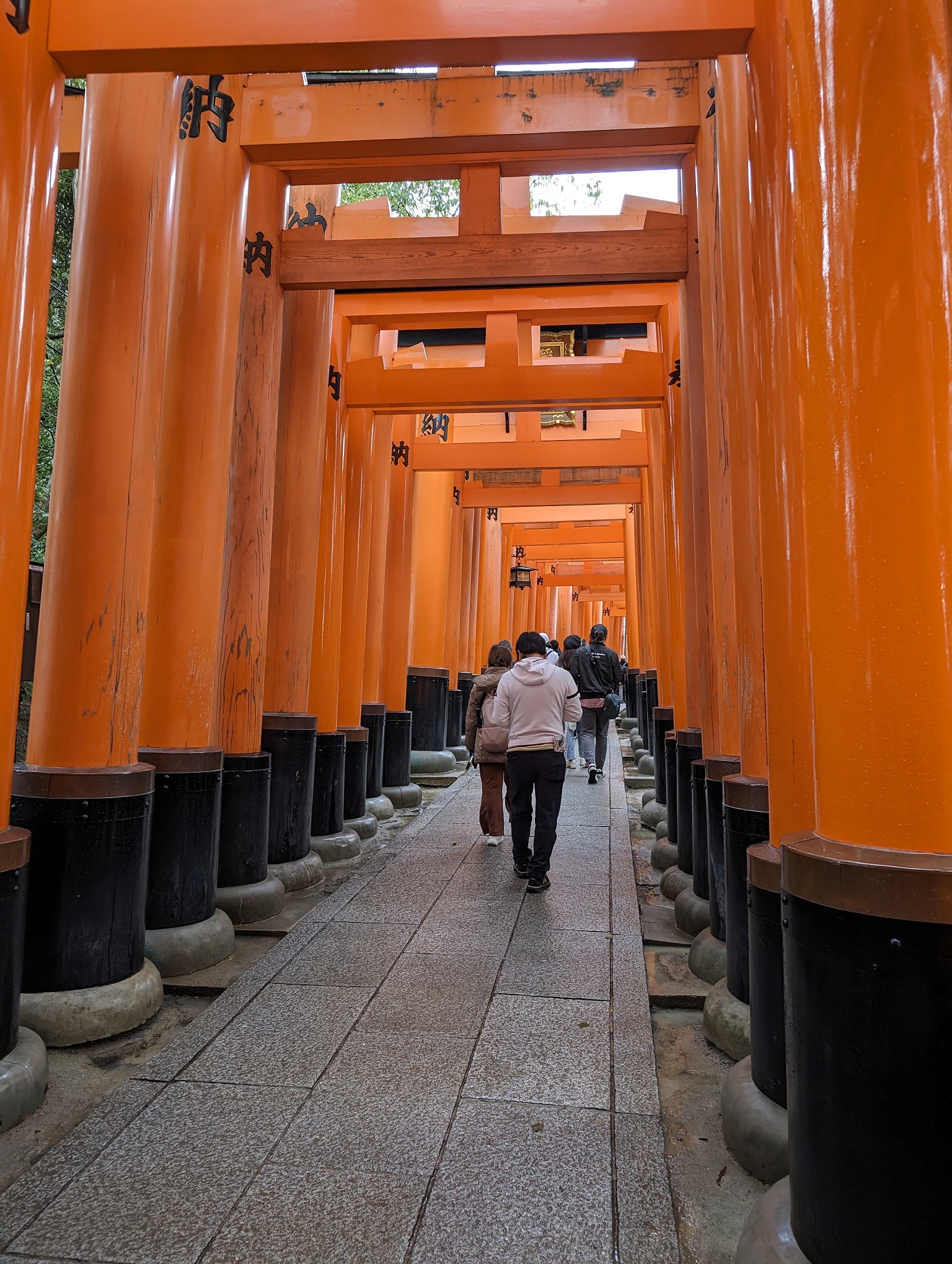 Several torii gates