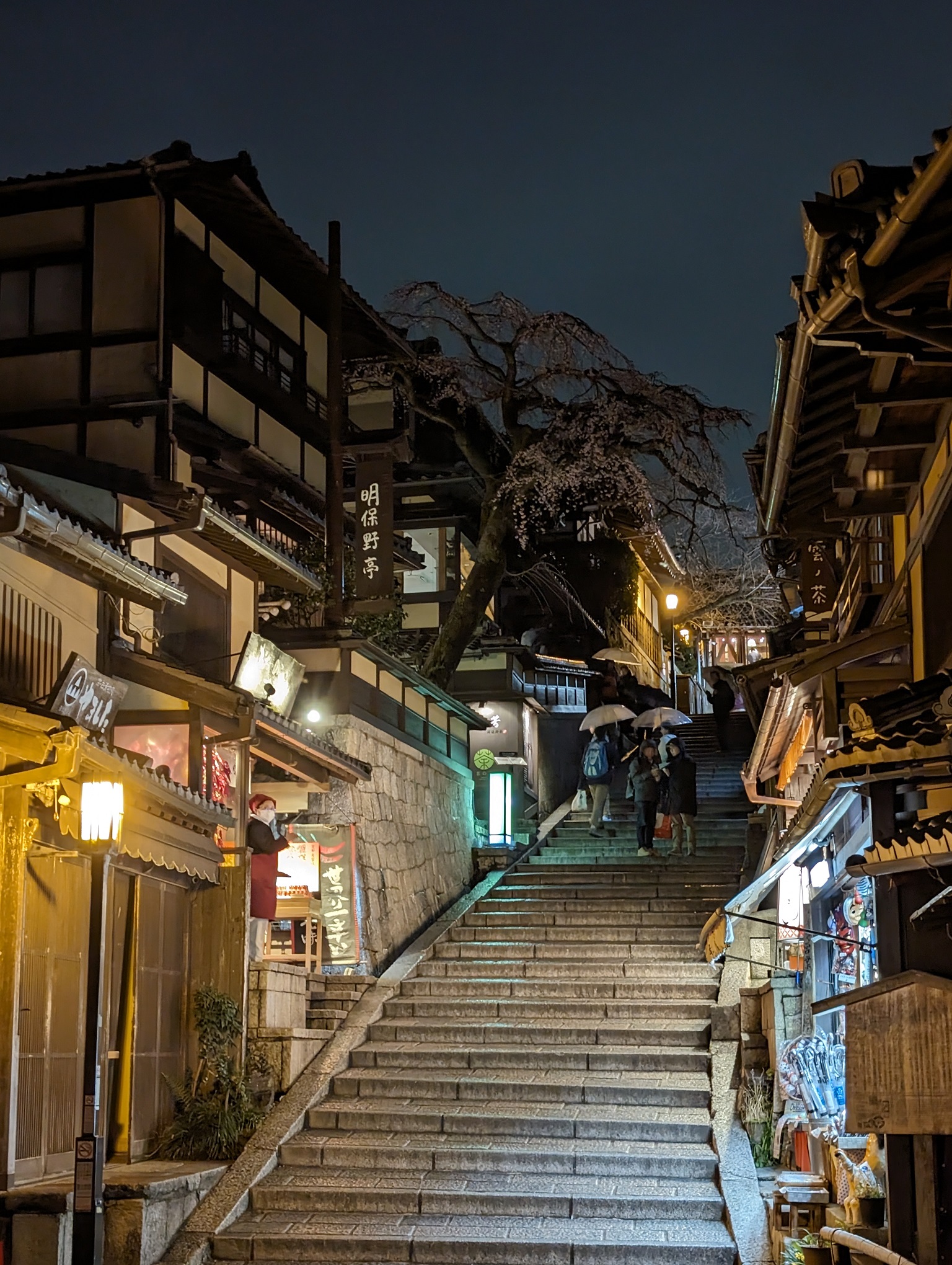 Stairs with a cherry blossom tree