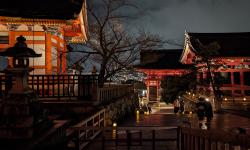 Featured image of post Trip Report: Japan (March 2024)