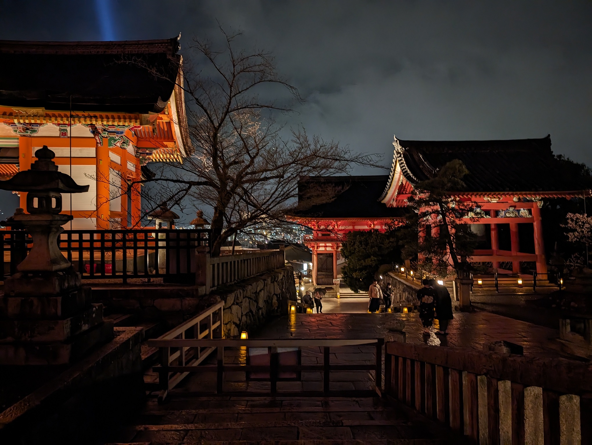 Kiyomizu-dera at night