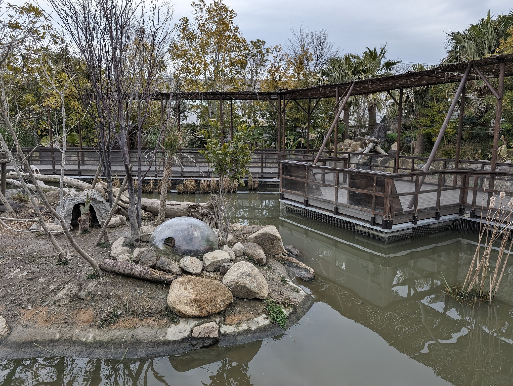 Otter Sanctuary at Kobe Animal Kingdom