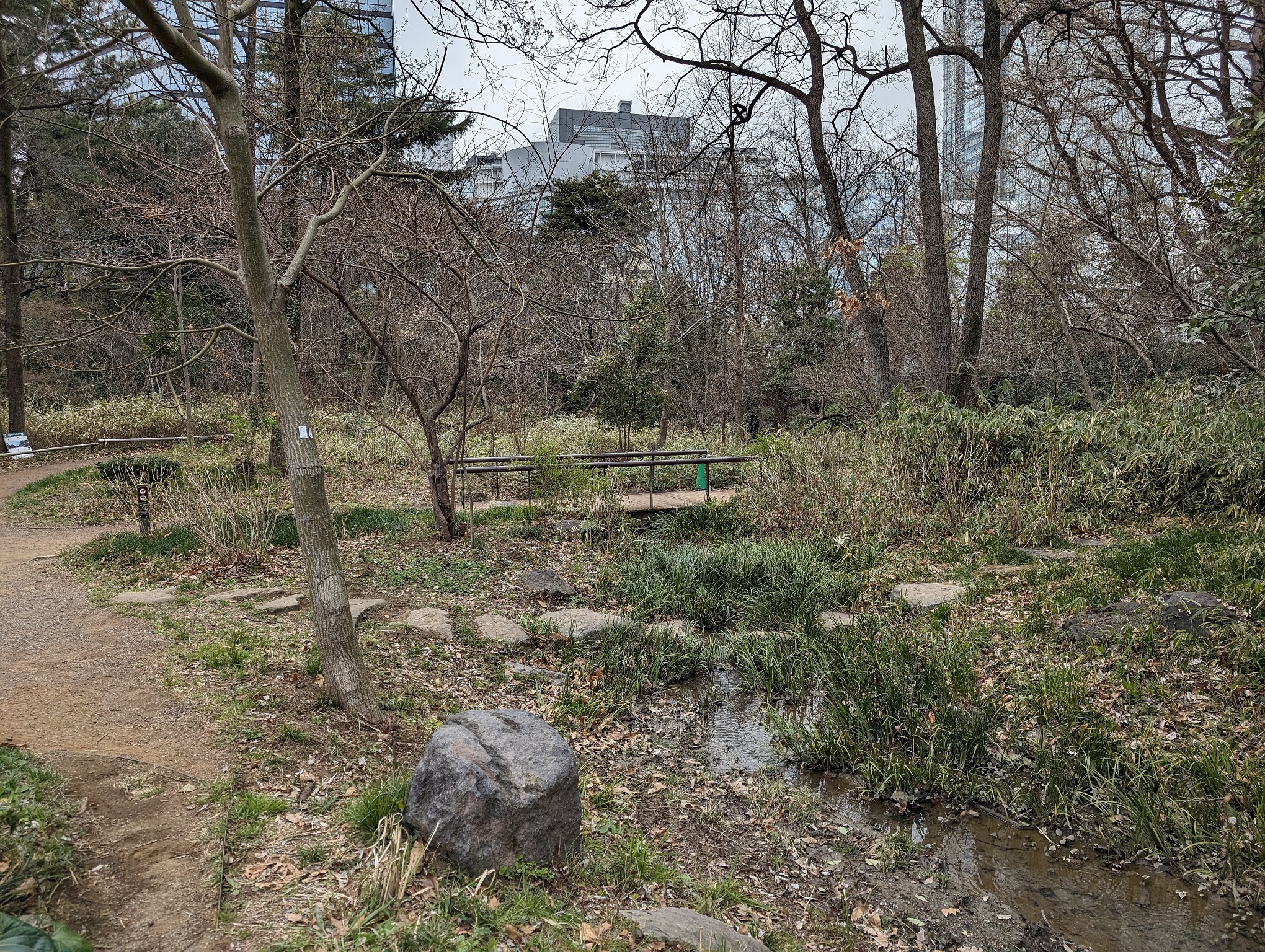 Stream at Shinjuku Gyoen