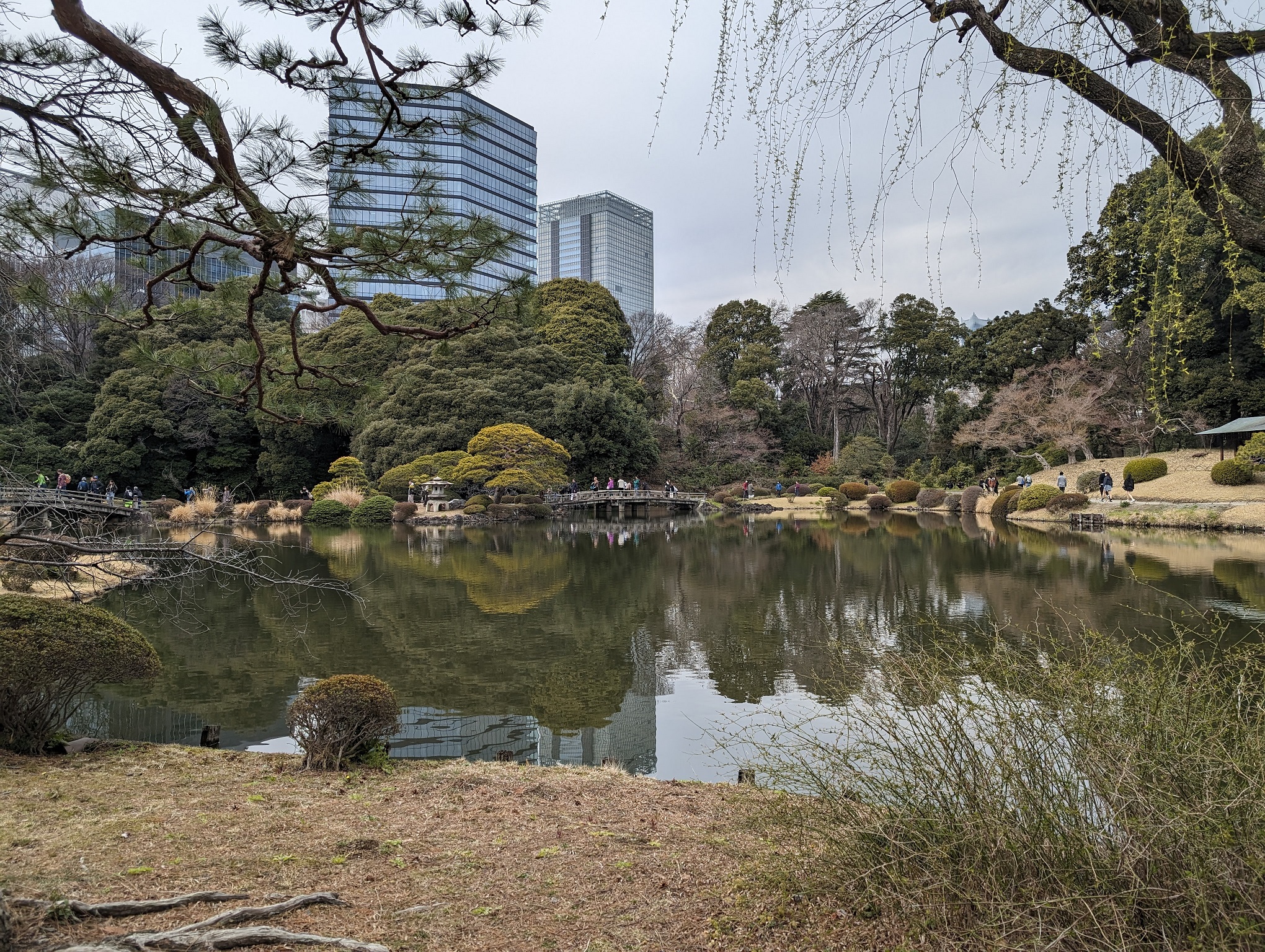 Pond in Japanese Traditional Garden area