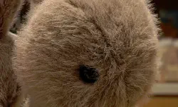 Featured image of post Easter treats in Melbourne (2025 edition)